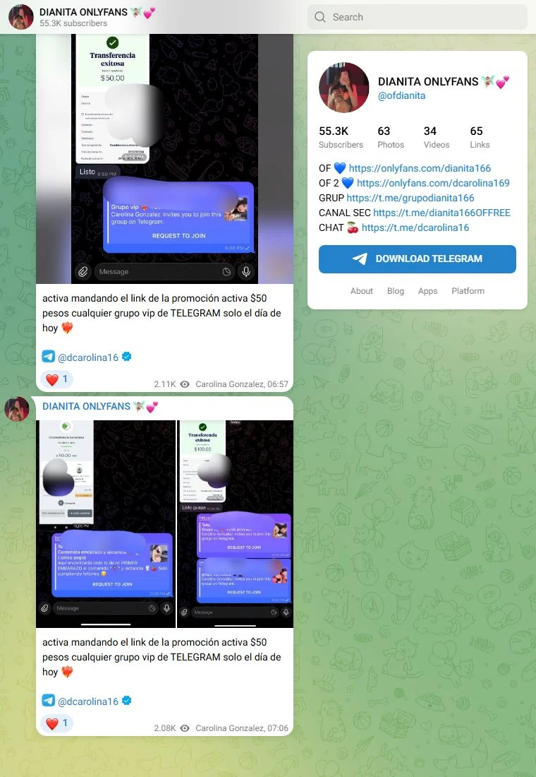 Vista previa del canal de Telegram Dianita