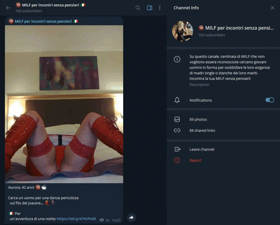 Vista previa del canal de Telegram MILFs para encuentros casuales sin complicaciones